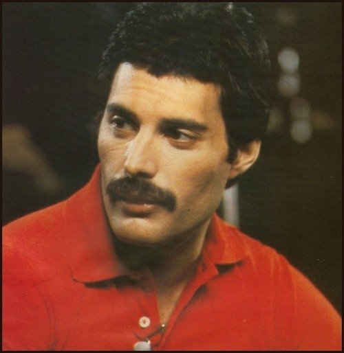 Freddie Mercury cover